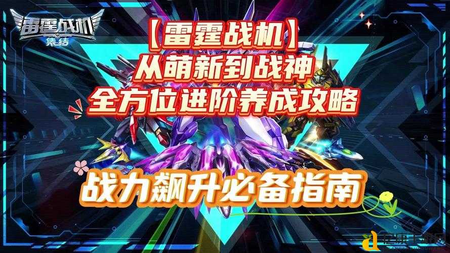 刀了个塔英雄升级攻略！从萌新到战神的狂飙秘籍你不得不看