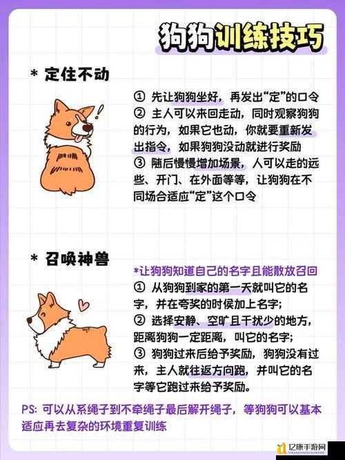 路边犬隐藏技能大揭秘！毒抗神宠+实战技巧一篇通关