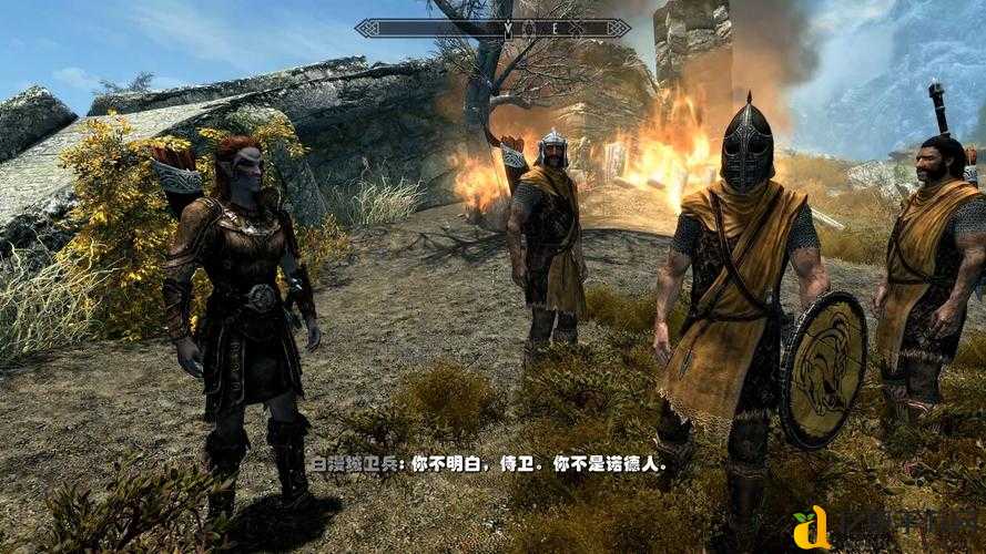 上古卷选5天际龙裔玩家必看！5大致命BUG修复神操作揭露