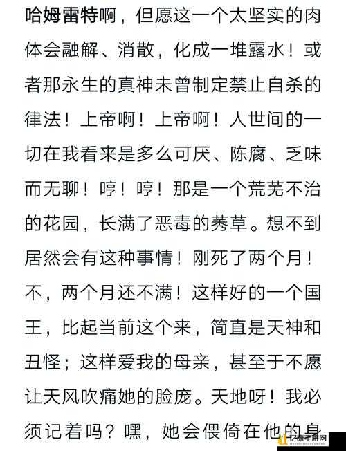 哈姆雷特谜题全解！全剧情攻略让你秒变戏剧大佬