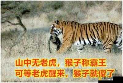 山中无老虎？野望13猴子称霸的真相被我挖出来了！