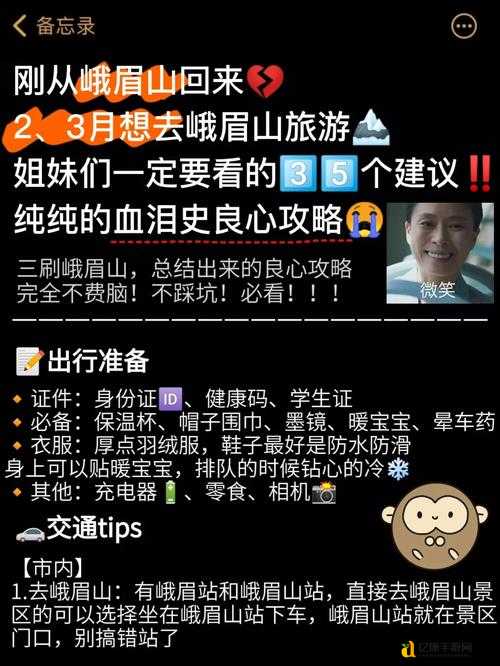 征服ACT5零失误通关秘籍！新人必看的血泪总结保姆级攻略