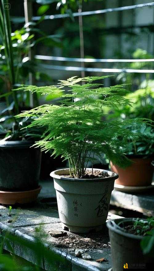 崩溃到破防！要塞3市民养活绝招大公开！手残党必看攻略